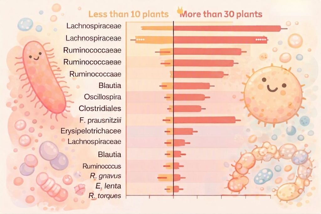 Fiber and gut health