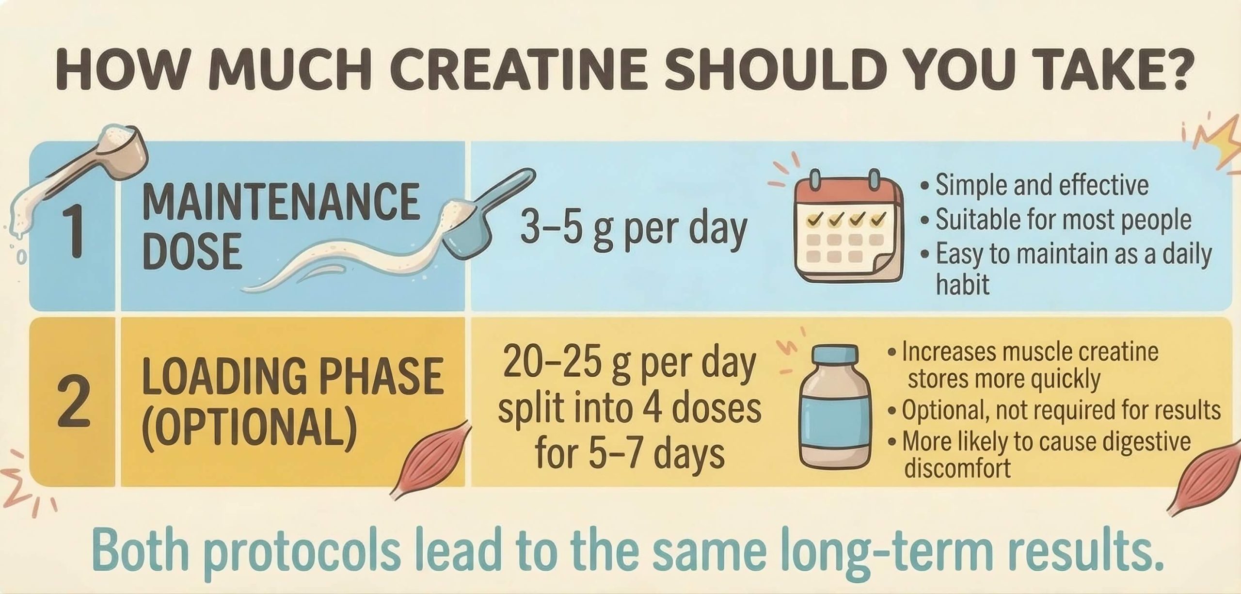 Creatine dosage, or how much creatine you should take Creatine dosage, or how much creatine you should take